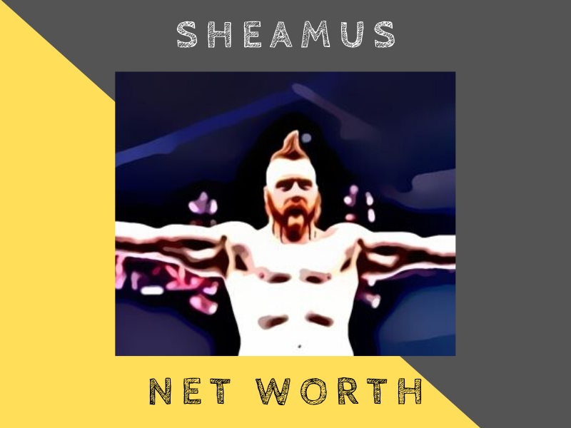 sheamus net worth
