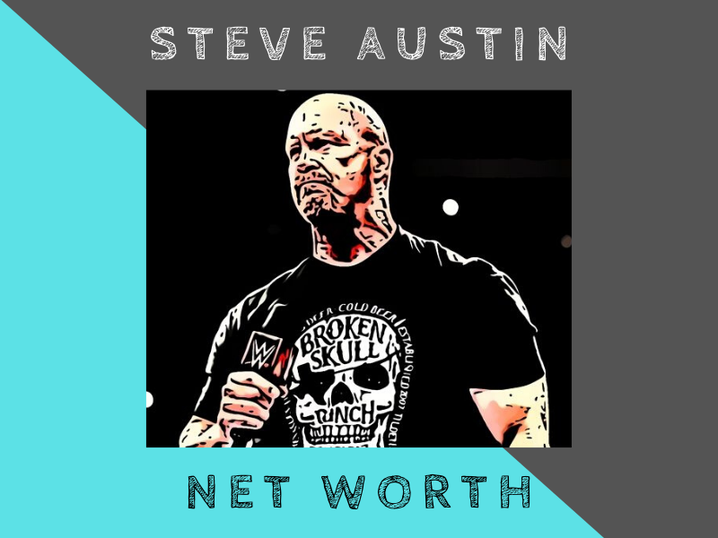 steve austin net worth