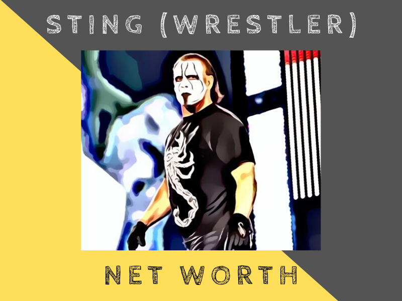 sting net worth