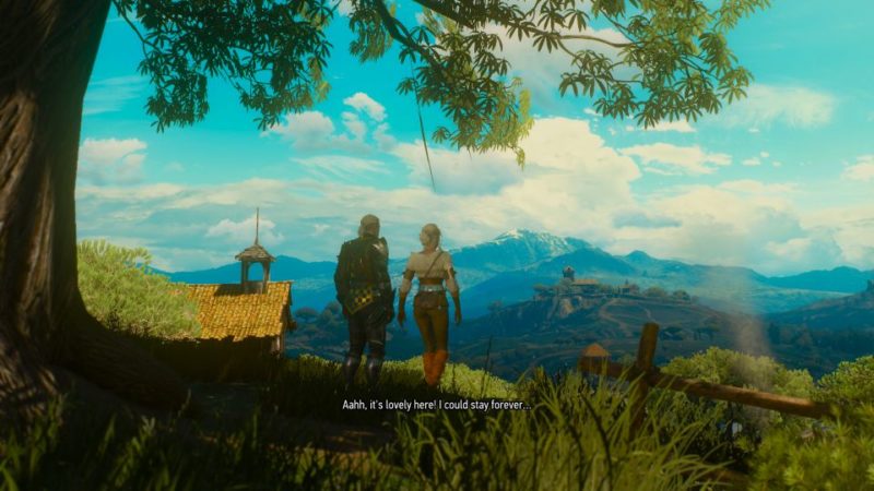 the witcher 3 ciri ending blood and wine