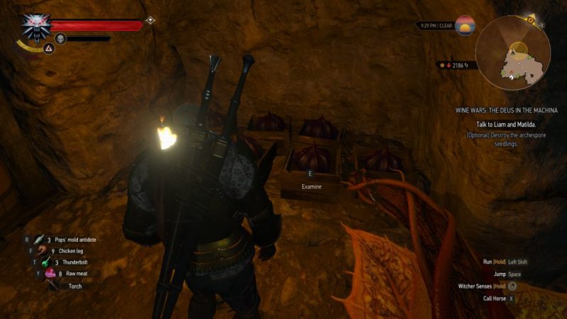 the witcher 3 - wine wars the deus in the machina wiki