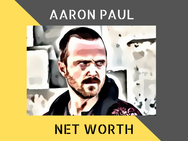 Aaron Paul Net Worth