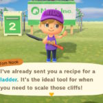 acnh how to find ladder