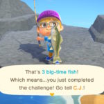 animal crossing new horizons cj tournament challenge