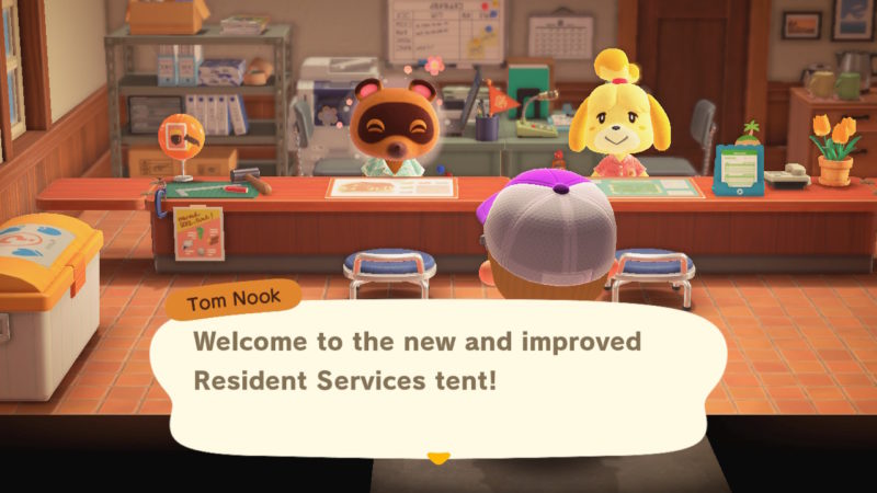 animal crossing new horizons - how to get isabelle