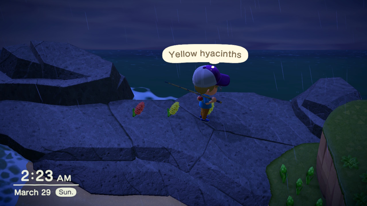 How To Spawn Tarantula In Animal Crossing New Horizons