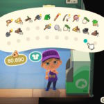 animal crossing new horizons - how to increase pocket storage