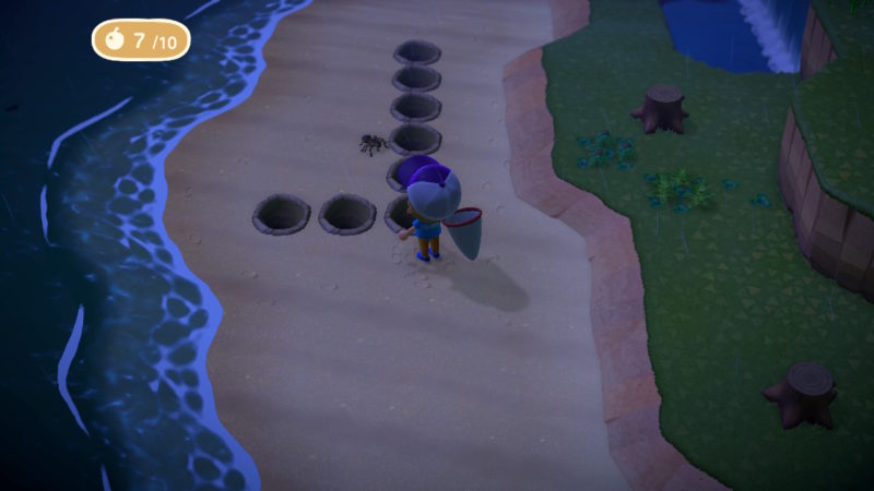 animal crossing new horizons - which island has tarantula