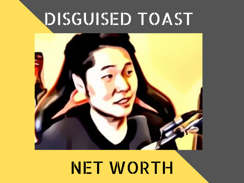Disguised Toast Net Worth