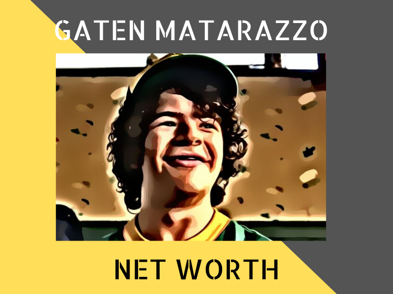 Gaten Matarazzo Net Worth