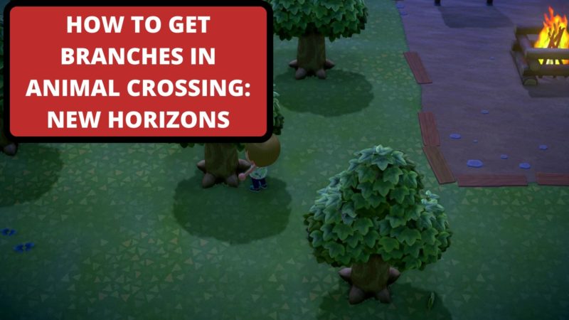 how to get branches animal crossing new horizons