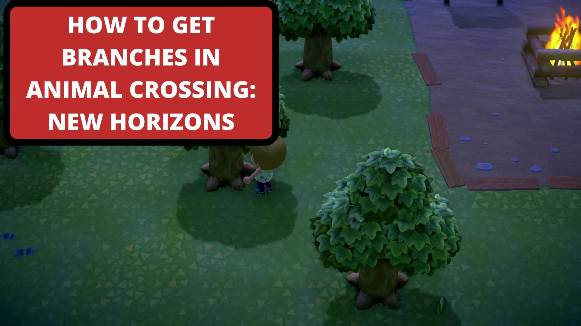 How To Get Branches In Animal Crossing New Horizons