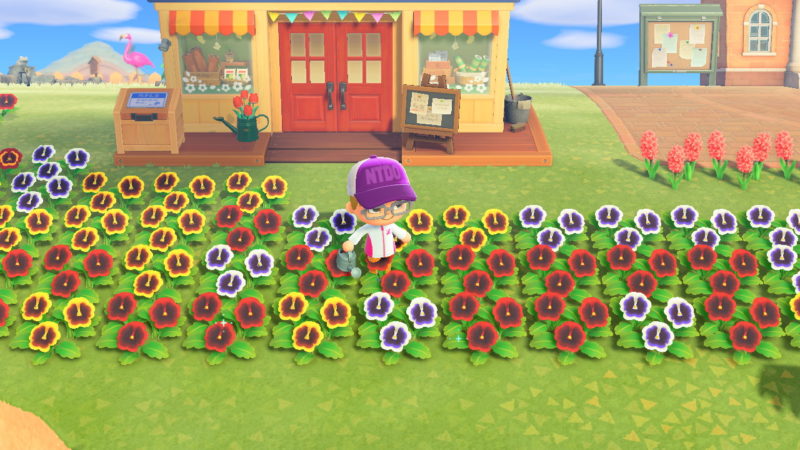 how to get more stars - animal crossing new horizons