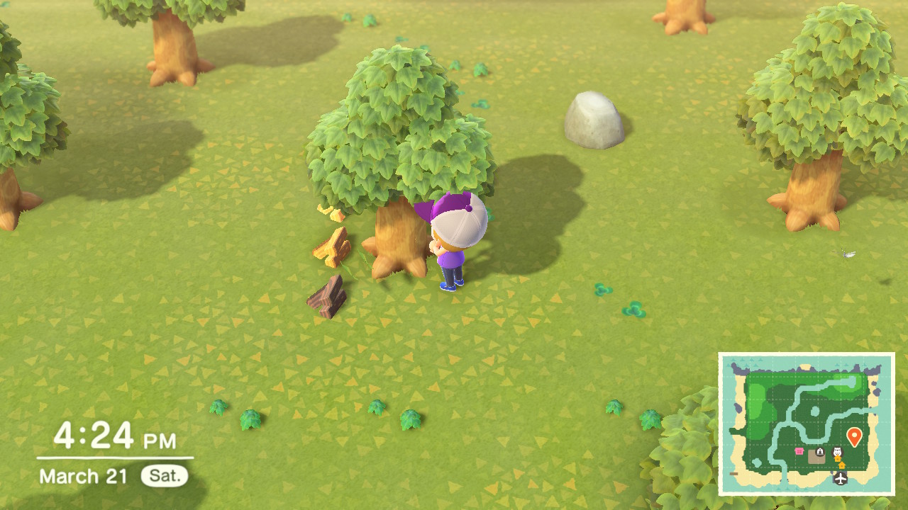 How To Get Wood, Softwood & Hardwood Animal Crossing New