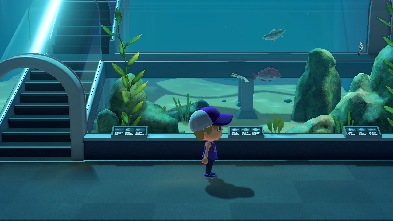 How To Build The Museum In Animal Crossing New Horizons