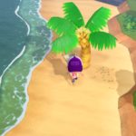 mystery island guide animal crossing new horizons