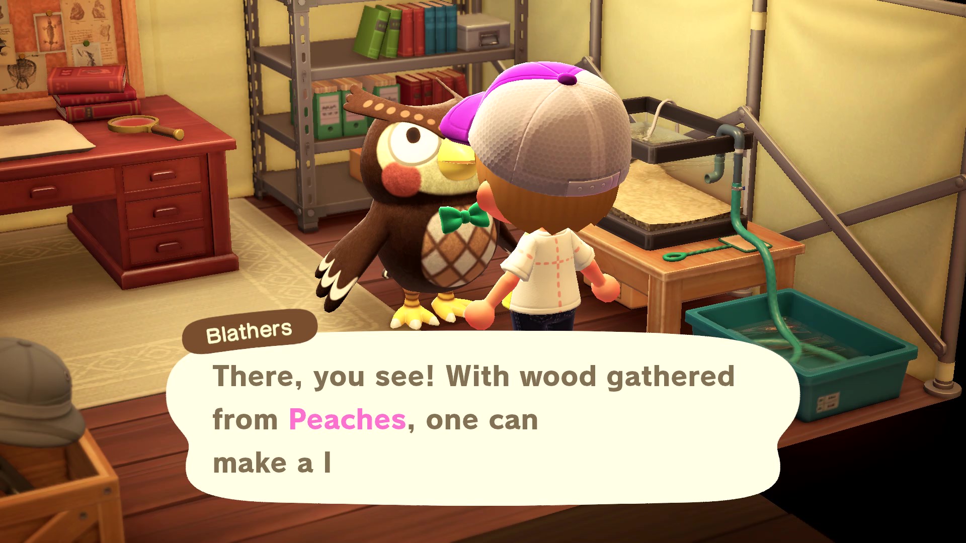 How To Get A Vaulting Pole Animal Crossing New Horizons