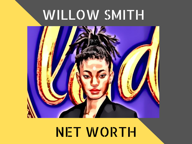 Willow Smith Net Worth