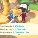 animal crossing new horizons saharah appearance time