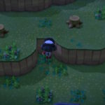 cant find tarantula or any bugs - acnh