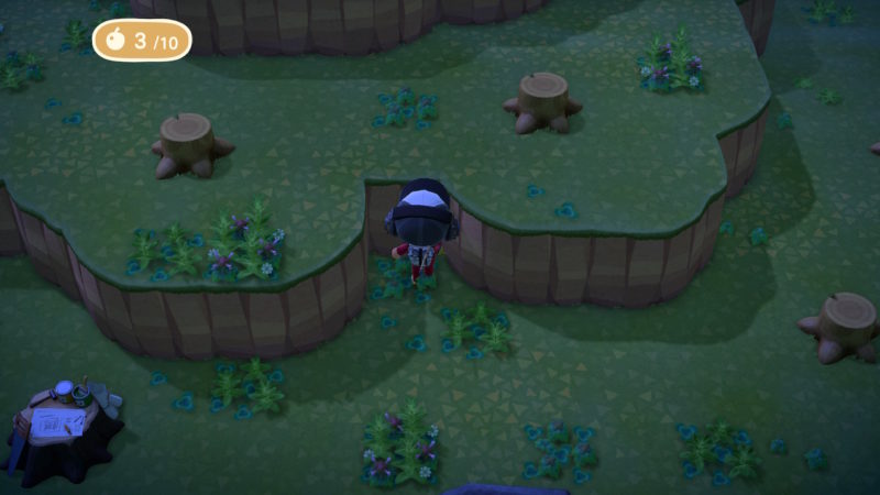 Mystery Island With No Bugs? Animal Crossing New Horizons