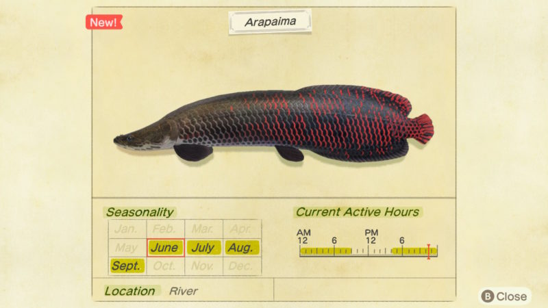 how to find arapaima - animal crossing new horizons