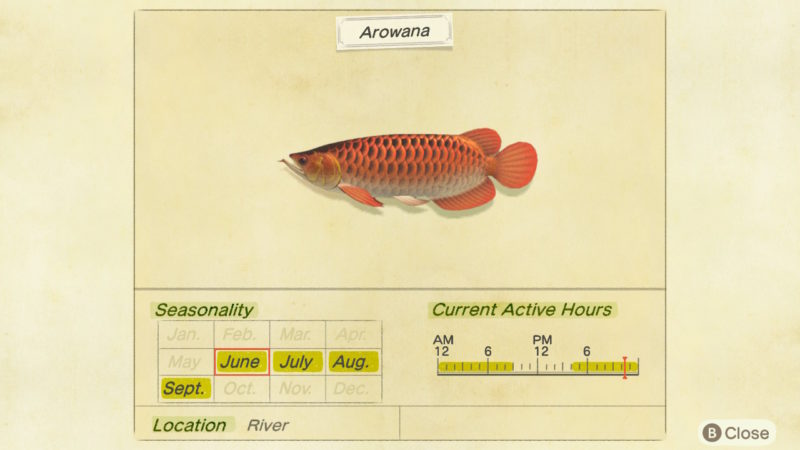 how to fish for arowana in acnh