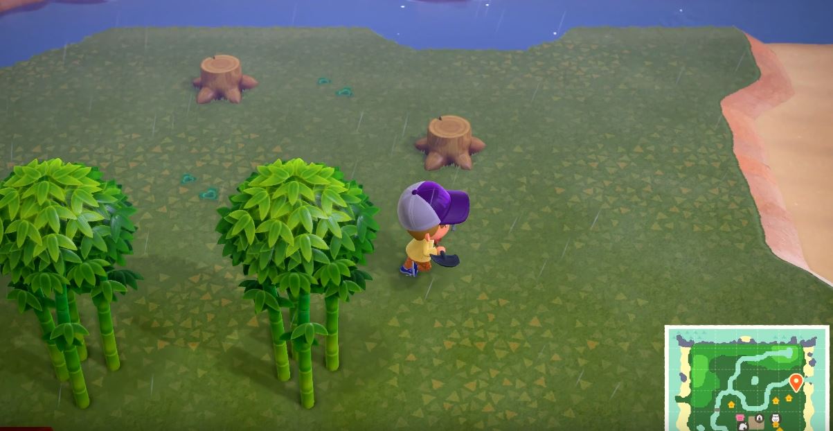 How To Get Bamboo Trees Animal Crossing New Horizons