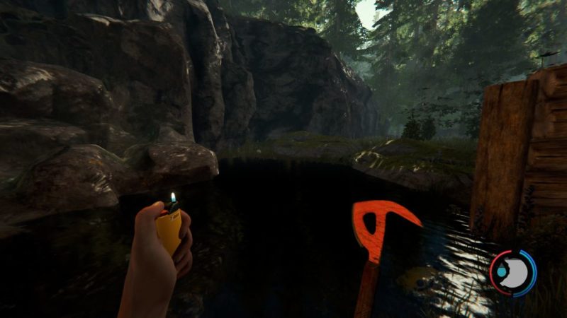 how to find water for drinking - the forest