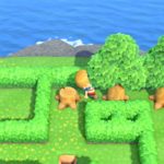 may day tour maze