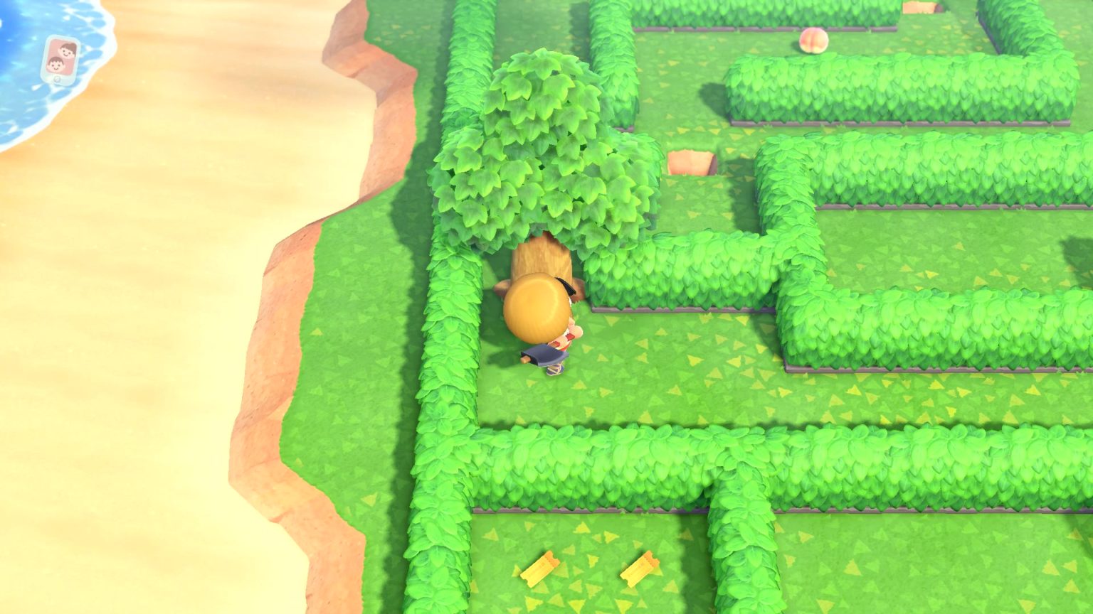 How To Solve The Maze In May Day Tour Animal Crossing New Horizons
