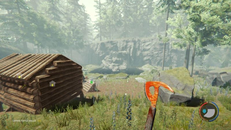 where is the best location to set up base - the forest