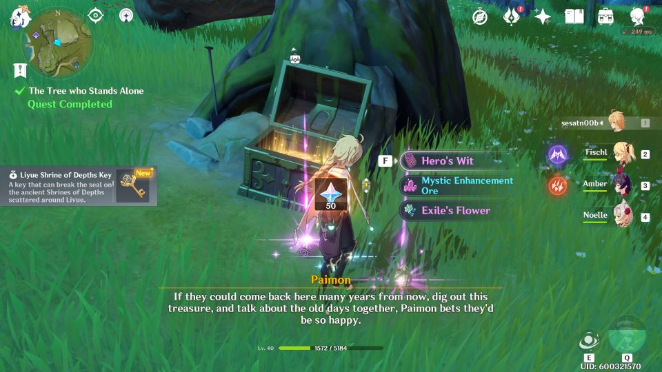 Genshin Impact The Tree Who Stands Alone Walkthrough