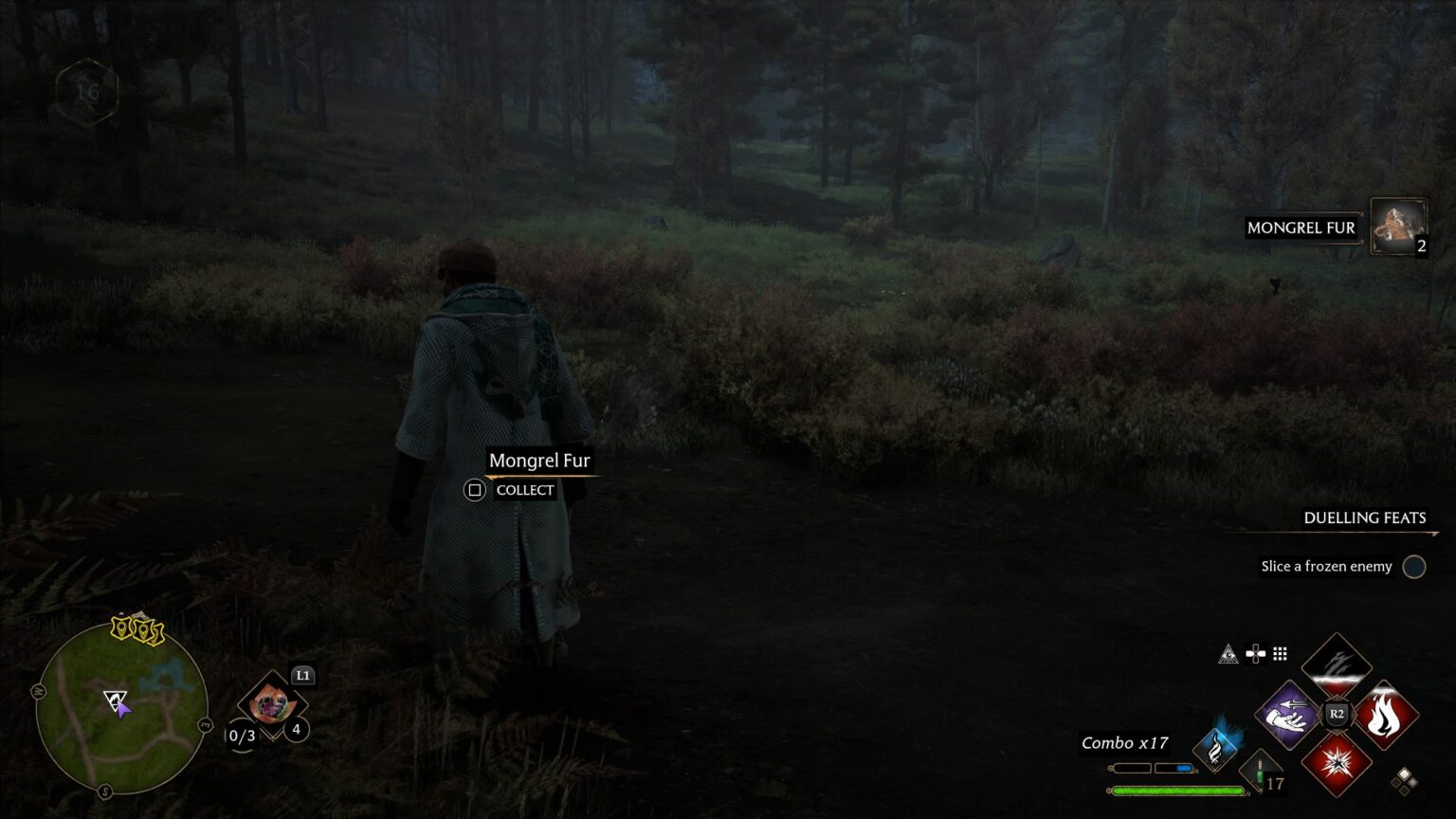 Hogwarts Legacy: How To Find Mongrel Fur (Location)