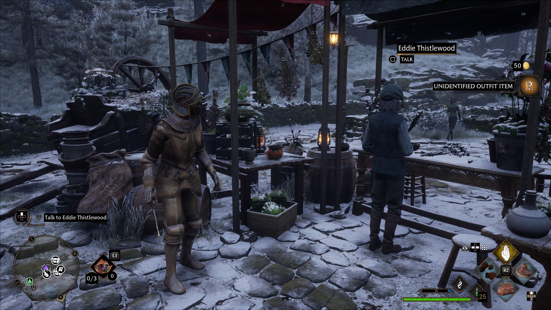 Hogwarts Legacy Kidnapped Cabbage Walkthrough & Guide