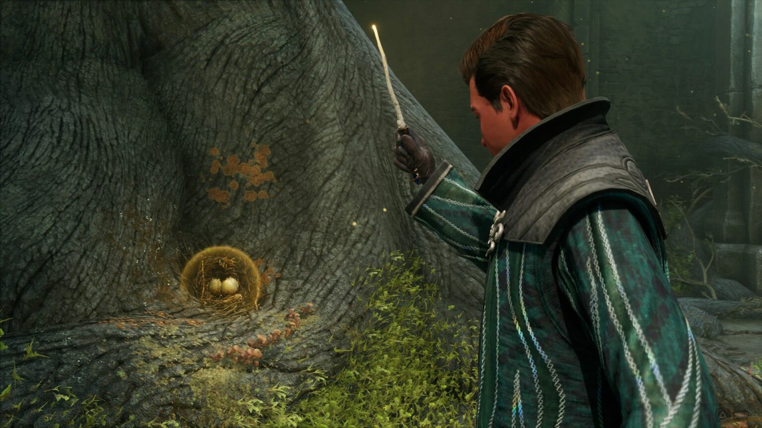 Hogwarts Legacy A Bird In The Hand Walkthrough & Guide