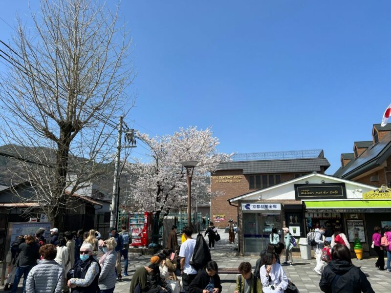 How To Go To Arashiyama Bamboo Forest From Kyoto Station